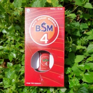 BSM 4 — Pulihkan Diabetes